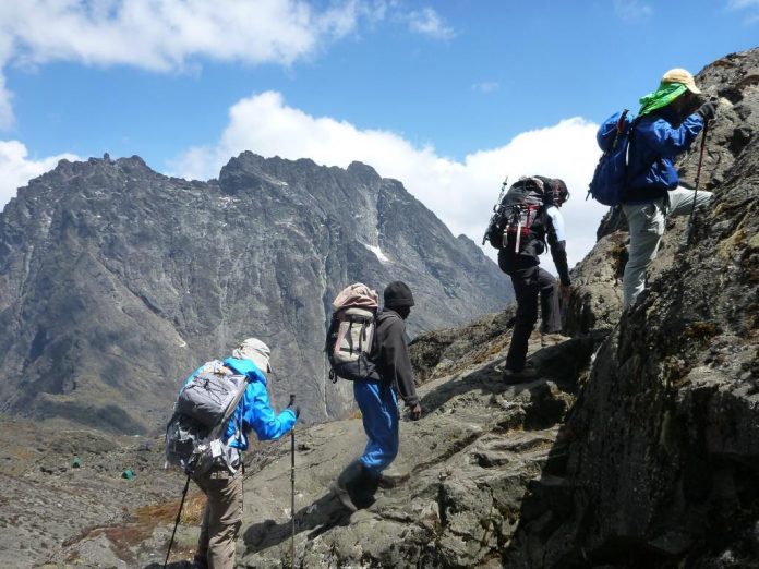 Mountain Rwenzori Hiking in Uganda